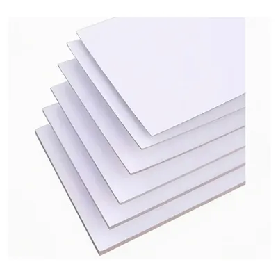 Overview of Guangdong Province's Composite Paper Industry