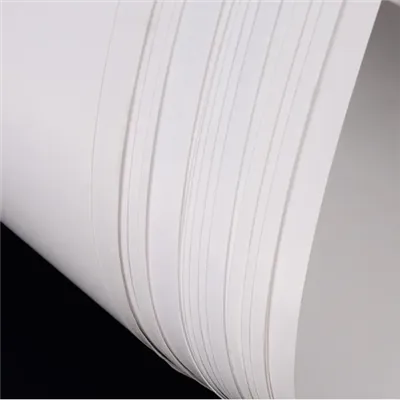 C1S Art Paper Glossy
